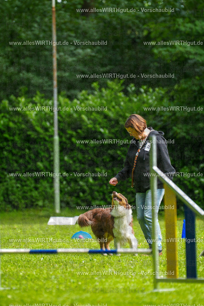 @allesWIRTHgut_Tierfotografie - www.allesWIRTHgut.de - 094429-7R507522 | Professionelle Tierfotografie in Mönchengladbach von Daniel Wirth (allesWIRTHgut). Liebevolle & natürliche Bilder von Hunden & Katzen für unvergessliche Erinnerungen.