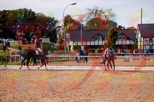 2026_10_03_Siefer-Hof_132617_Z81_79250066 | Professionelle Reitsport-, Turnier- und Eventfotografie von Robert Broda. Galerien mit ausgewählten und bearbeiteten Bildern direkt online ansehen und bestellen.