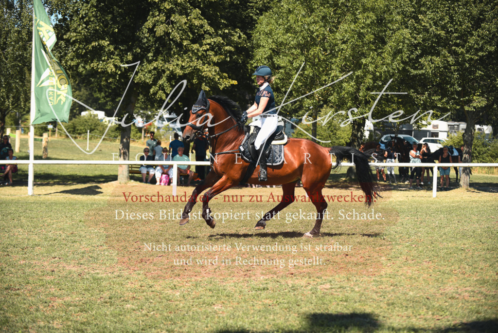DSC_7044 | Pferde- und Turnierfotografie in Westsachsen. Pferdeportraits, Auftragszeichnungen und intuitive Kunst.