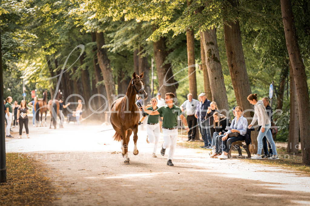 FrPfM00122 | Leoni Ertmer Photography - Realisiert mit Pictrs.com