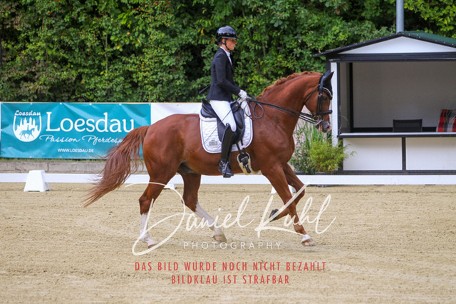 DKP40702 | Turniersportfotografie; Pferdefotografie; Dressurfotografie