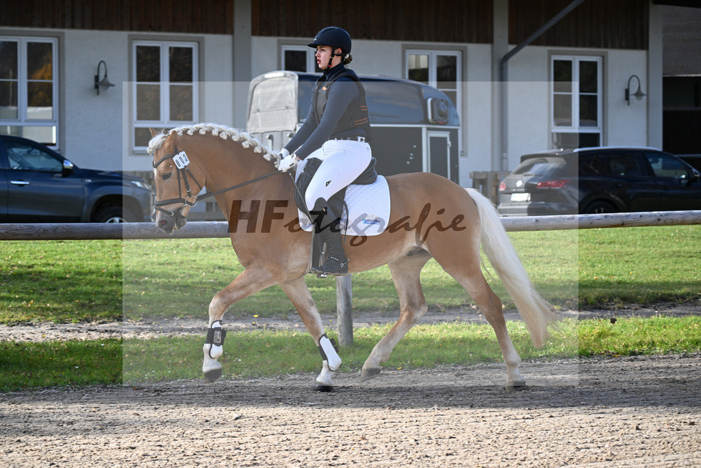 Kat-Nr. 3 Benz-E v. Blitz-U_Wendlinger_43250503 | hf-fotografie - Realisiert mit Pictrs.com