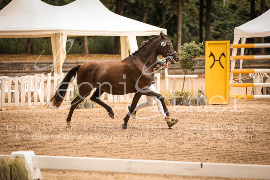 07.So00041 | Leoni Ertmer Photography - Realisiert mit Pictrs.com