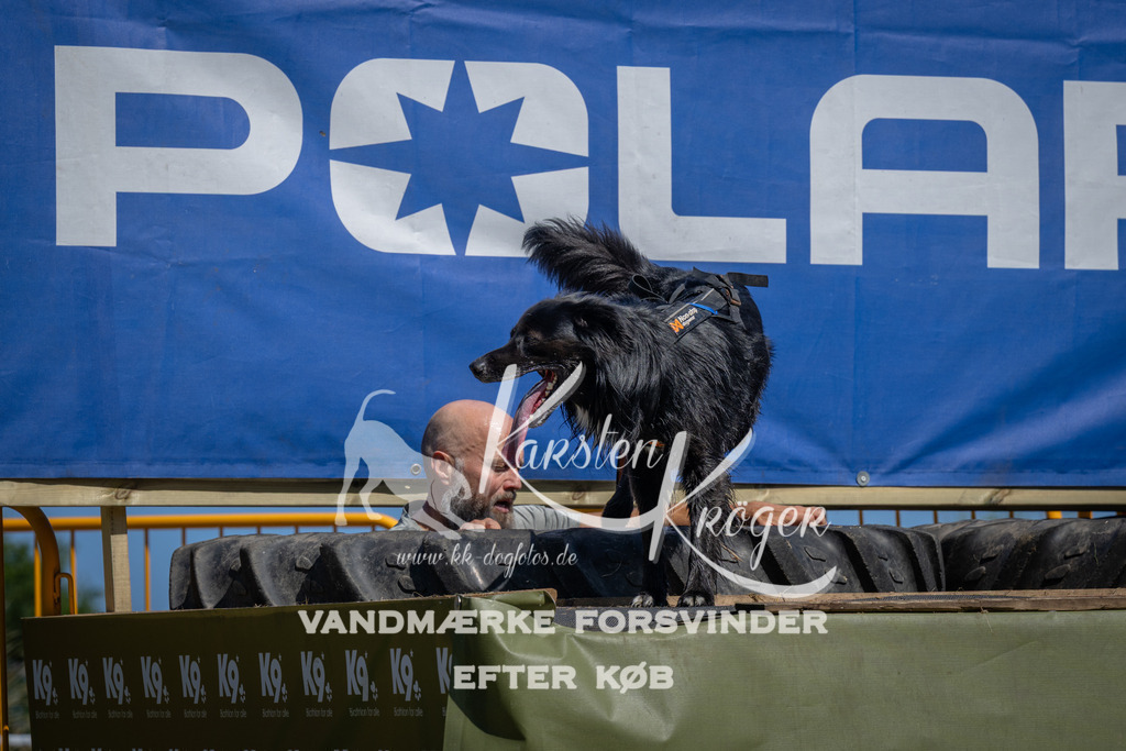 1241_ZZ96174 | kk-dogfotos