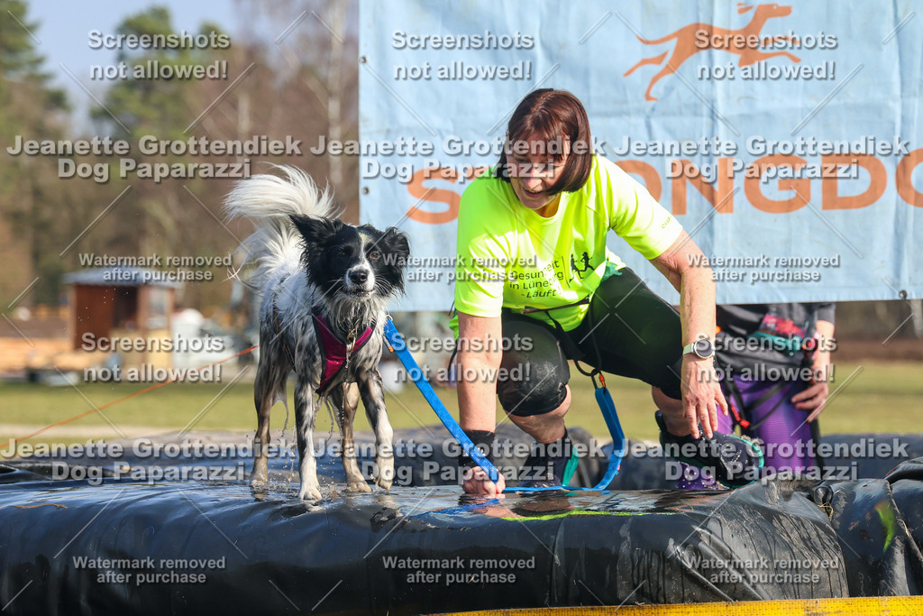 Dog Paparazzi - Strongdog North Mrz26-2870 | Dog Paparazzi Jeanette Grottendiek Fotografie & Videografie - Realisiert mit Pictrs.com