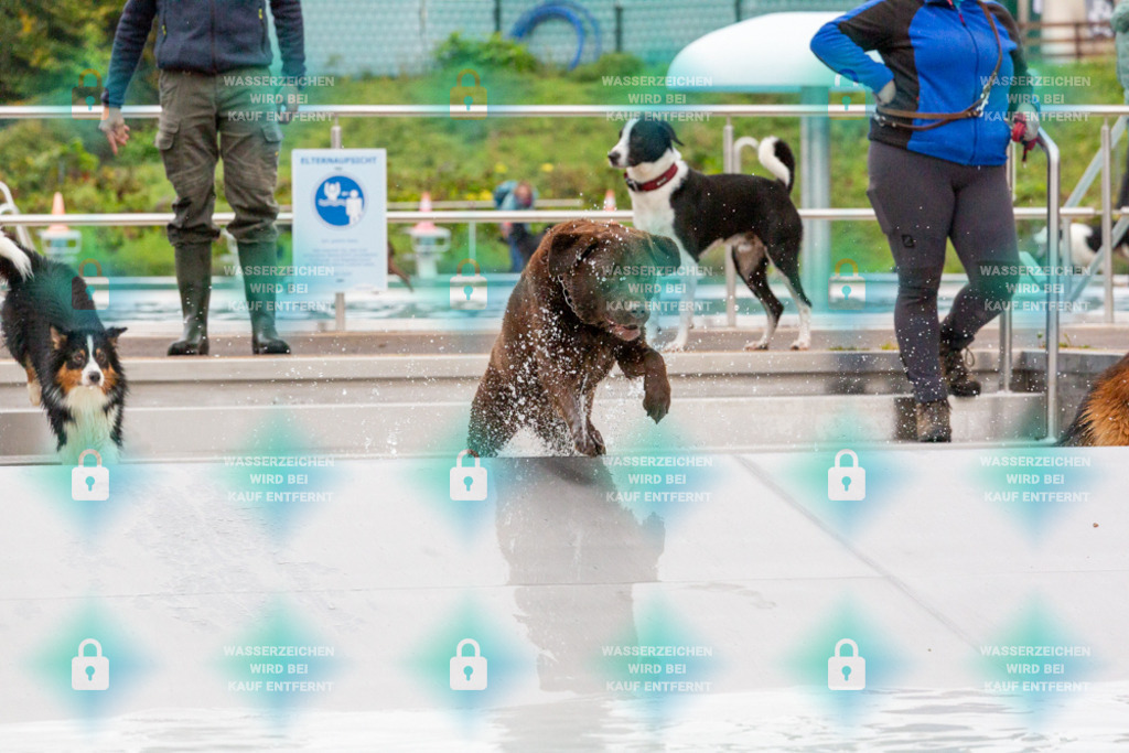 _HP_7447_1000o | HetPix, HetPix Fotodesign, Fotografie, Fotodesign, Webshop, Sportfotografie, Portraitfotografie, Onlineshop, Sportfotografie, Polch, Motorsportfotografie, Eventfotografie