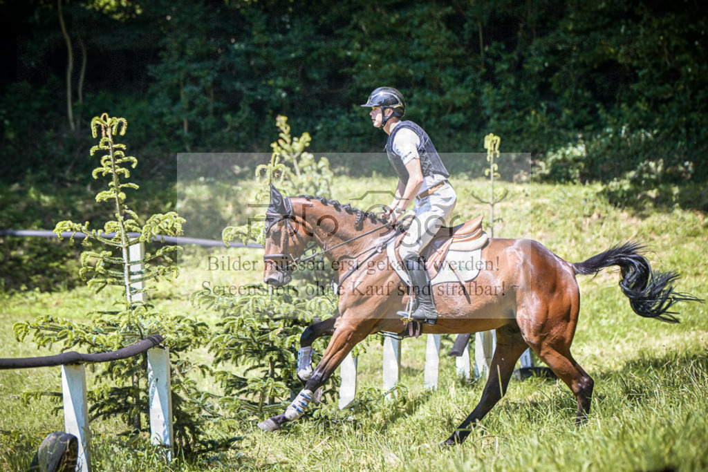 DOS_2205 | Entdecke hochwertige Reitturnierfotos von Foto Oger. Professionell, emotional und authentisch – jetzt Lieblingsmomente im Shop bestellen.Deutschlandweite Turnierfotografie. - Realisiert mit Pictrs.com