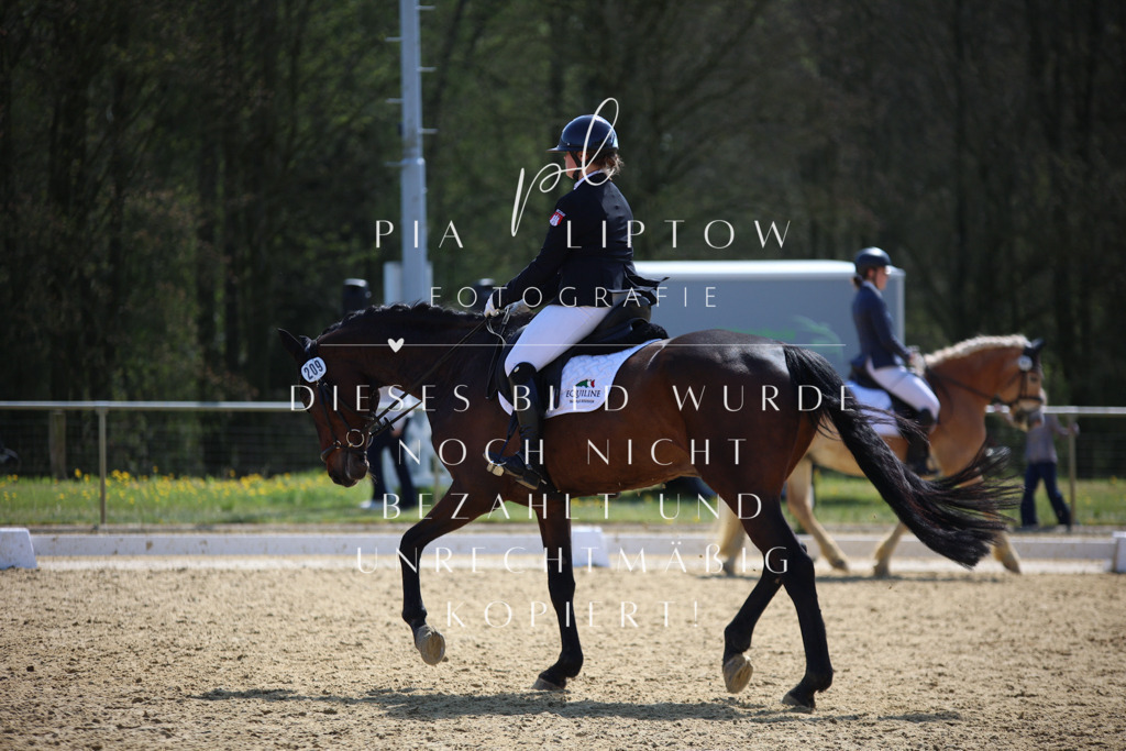 IMGT2178 | pl-fotografie