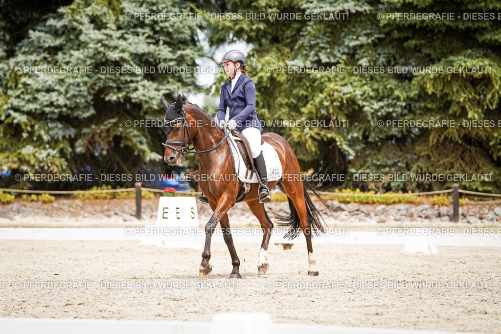 DSC04239 | Pferdegrafie