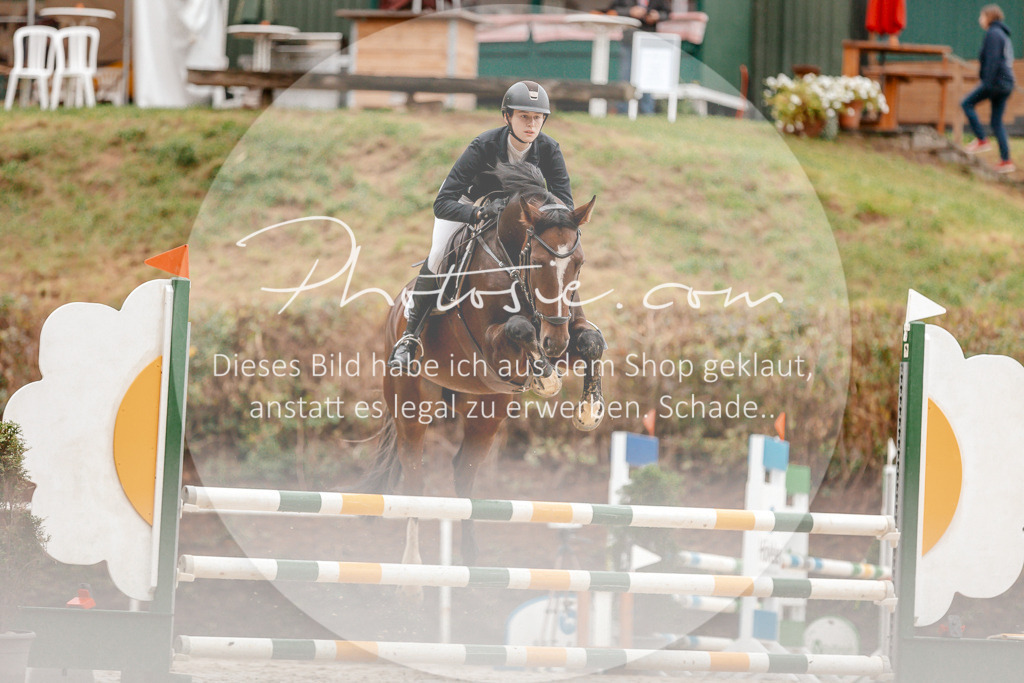 3I6A5759 | Stimmungsvolle Portraits und Reitsportfotografie im Ruhrgebiet und im Münsterland.

Pferdefotografie, Hundefotografie, Tierfotografie, Reportagen, Portraits von Tier und Mensch, Turnierfotografie in Bochum, Recklinghausen, Marl, Haltern am See, Dülmen.. - Realisiert mit Pictrs.com
