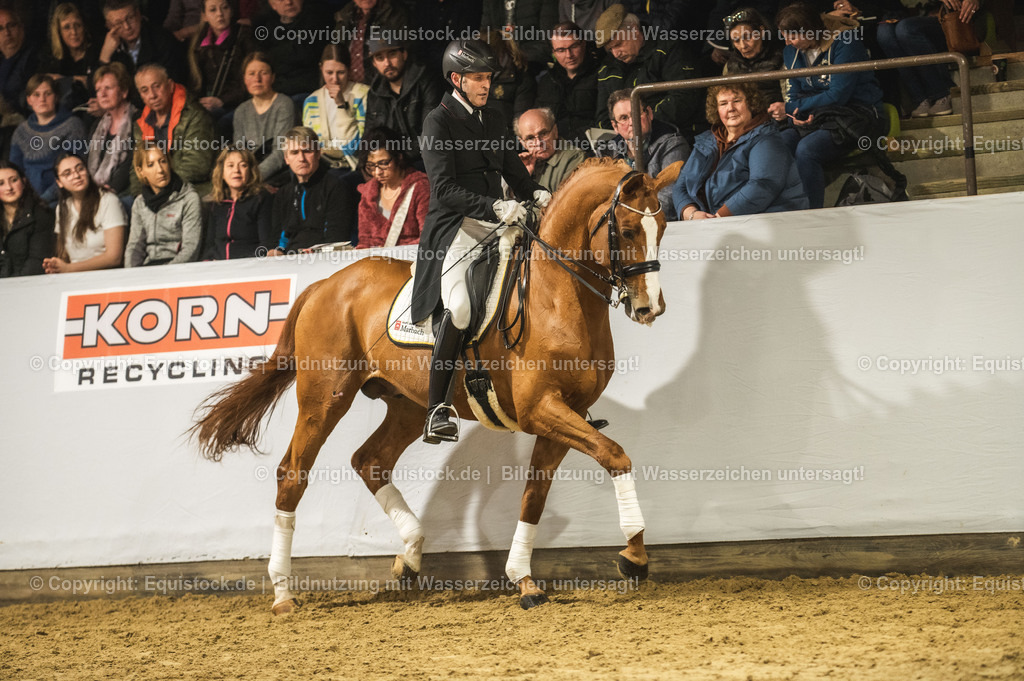 20240302_Hengstvorstellung_Marbach_TOMsPiC_0881 | equistock
