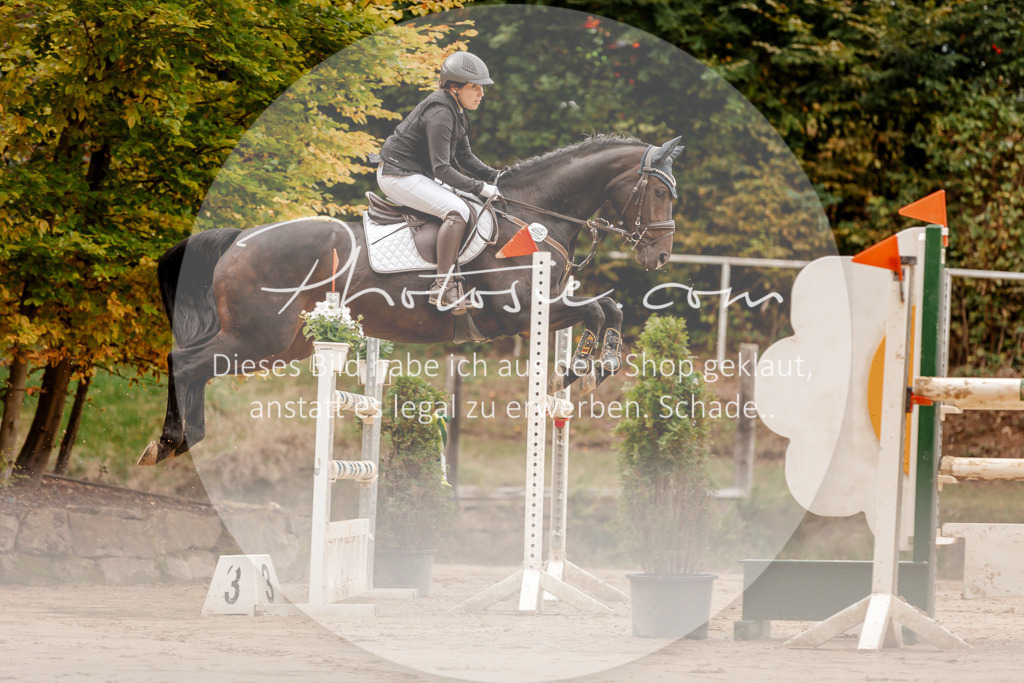 3I6A8052 | Stimmungsvolle Portraits und Reitsportfotografie im Ruhrgebiet und im Münsterland.

Pferdefotografie, Hundefotografie, Tierfotografie, Reportagen, Portraits von Tier und Mensch, Turnierfotografie in Bochum, Recklinghausen, Marl, Haltern am See, Dülmen.. - Realisiert mit Pictrs.com