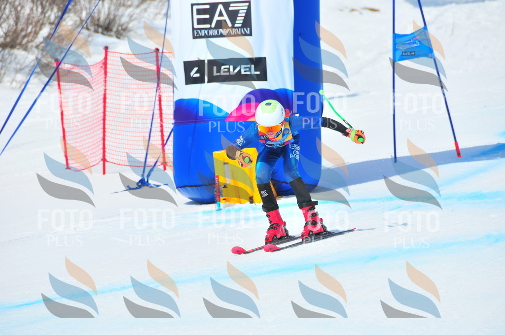 DSC_6913 | holidayphoto