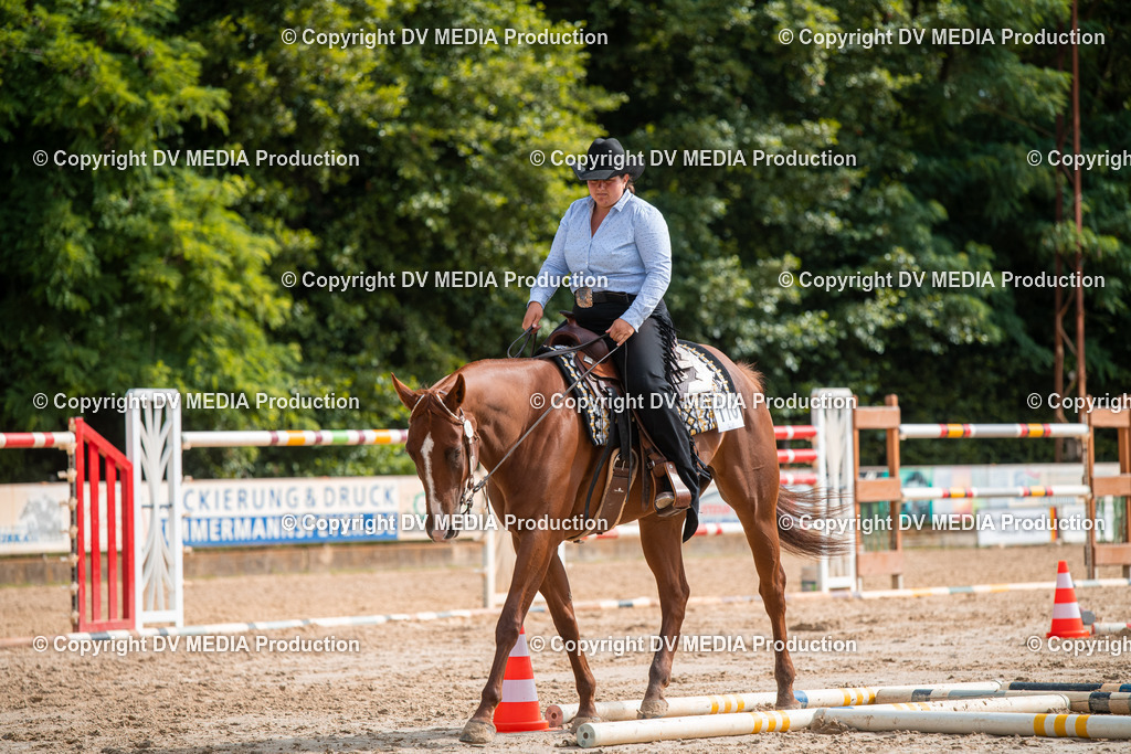 ZS3_9329 | dv-media-shop - Realisiert mit Pictrs.com