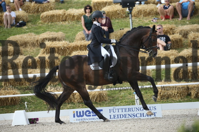 Birkhof_2022_GrandPrixSpecial_Nicole Isser_DiCaprio 4 (18) | Alle Fotos der Reiterjournal Fotografin Doris Matthaes im Reiterjournal Online-Fotoshop. - Realisiert mit Pictrs.com