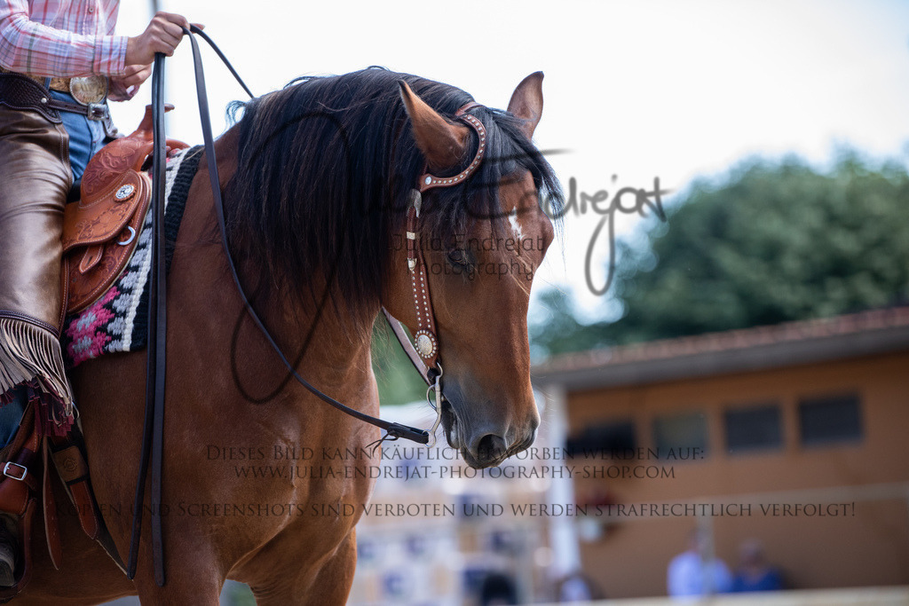 20220626-JuliaEndrejatPhotography-0259 | Julia Endrejat Photography