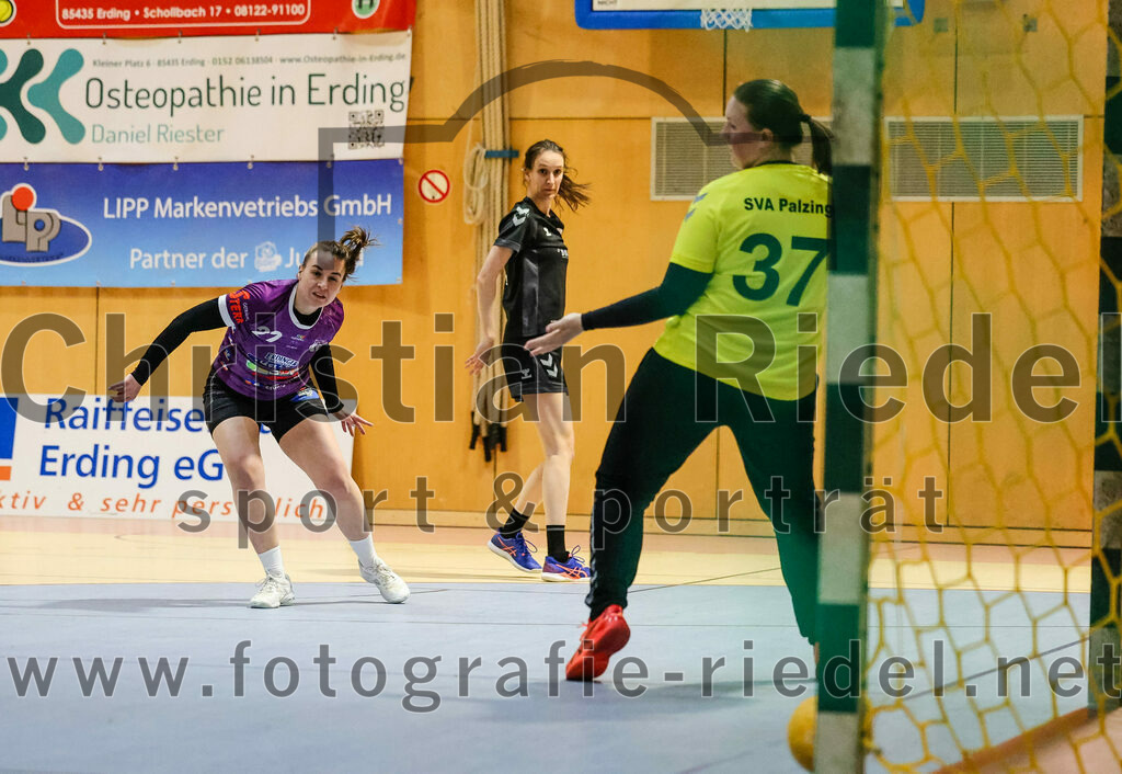 2024-02-10_028_SpVgg_Altenerding_gegen_SVA_Palzing | Erding, Deutschland, 10.02.2024:
Handball, Bezirksoberliga Frauen Altbayern 2023 / 2024, 14. Spieltag, SpVgg Altenerding gegen SVA Palzing, Endergebnis: 27:28

Johanna Taubmann (SpVgg Altenerding, #22), Torfrau Vivian Beier (SVA Palzing, #37)

Foto: Christian Riedel / fotografie-riedel.net