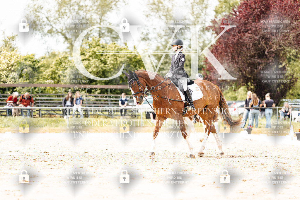 CK902185 | Turnierfotografie Pferdefotografie Trier Rheinland-Pfalz Pferdesport Reitsport Tierfotografie Sportfotografie Pferdevideo Pferdevideografie Equestrianvideography equestrianphotography  - Realisiert mit Pictrs.com