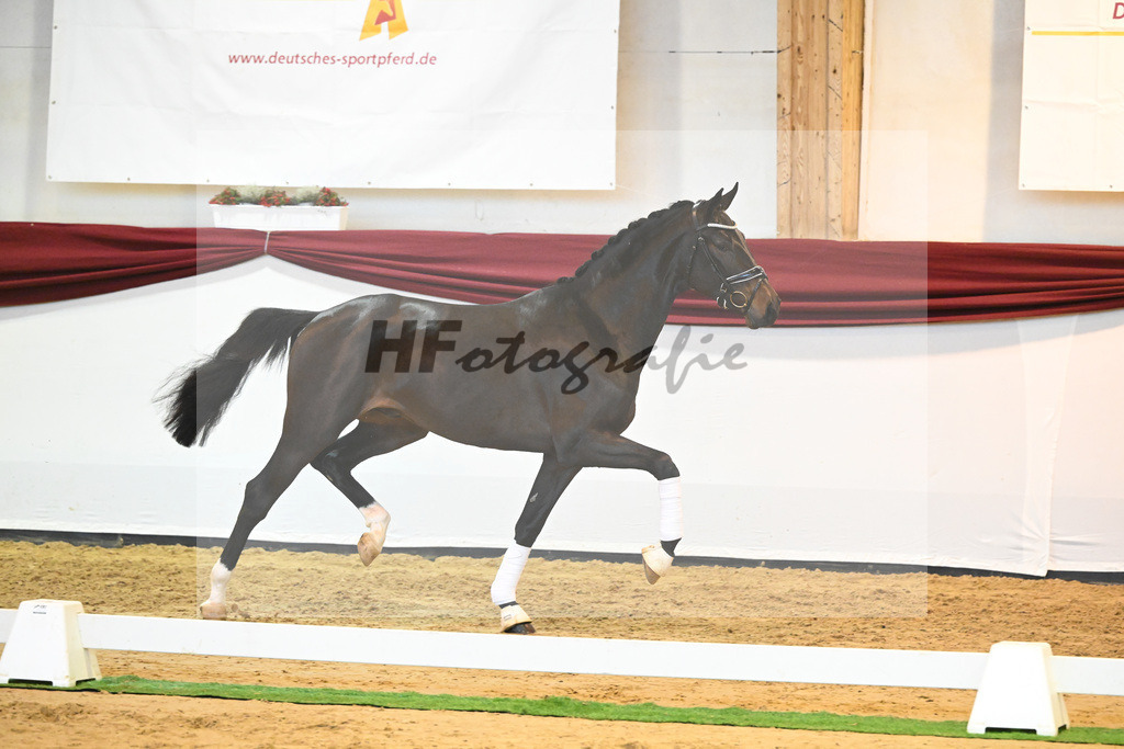 Kat-Nr. 77 v. Valentino Rossi_Ederle_66222365 | hf-fotografie - Realisiert mit Pictrs.com