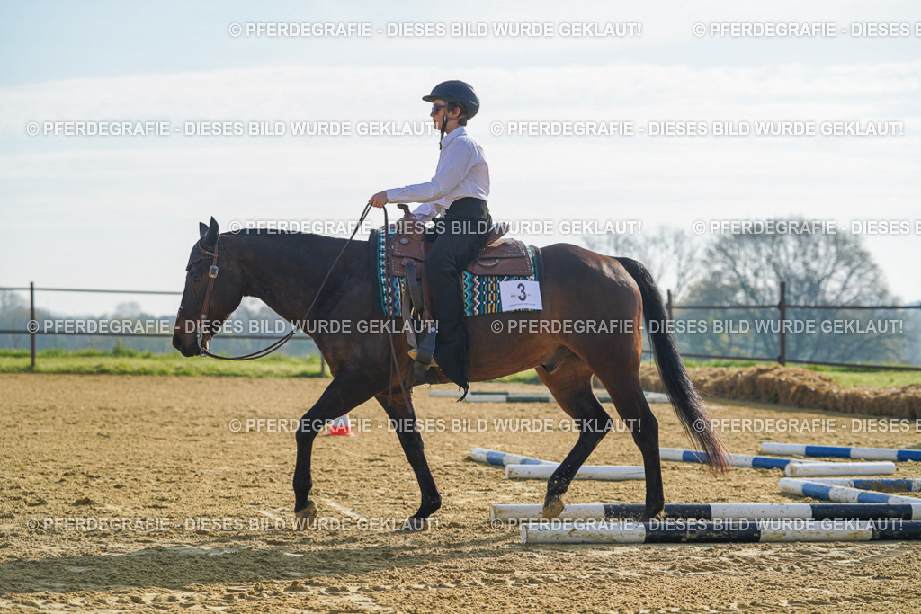 DSC00765 | Pferdegrafie