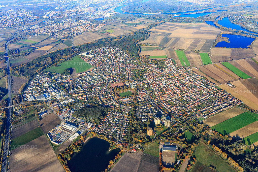 Luftbild: Ortsübersicht rechts der B9 aus Südwesten in Neuhofen im Bundesland Rheinland-Pfalz in Deutschland. Foto: IMG_095383.jpg vom 30.10.2016 durch Werner Riehm/FLY-FOTO.de