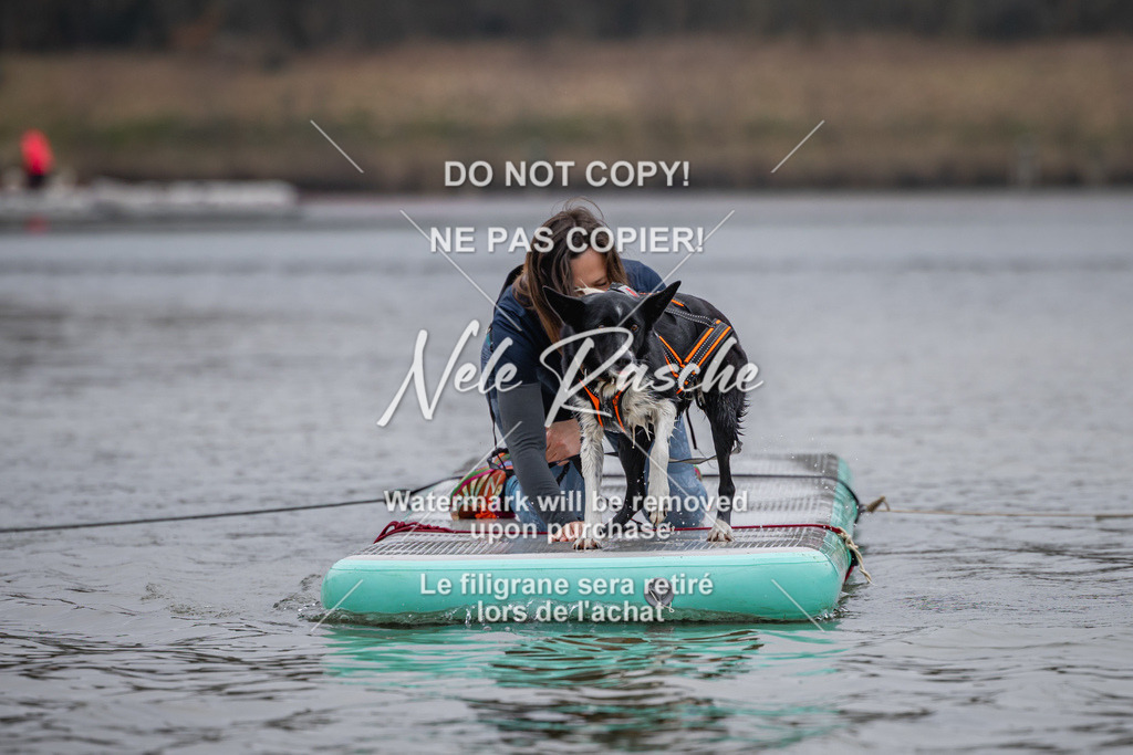 nelerasche_Hulsbeek_Sa1430-1515_274 | nelerasche