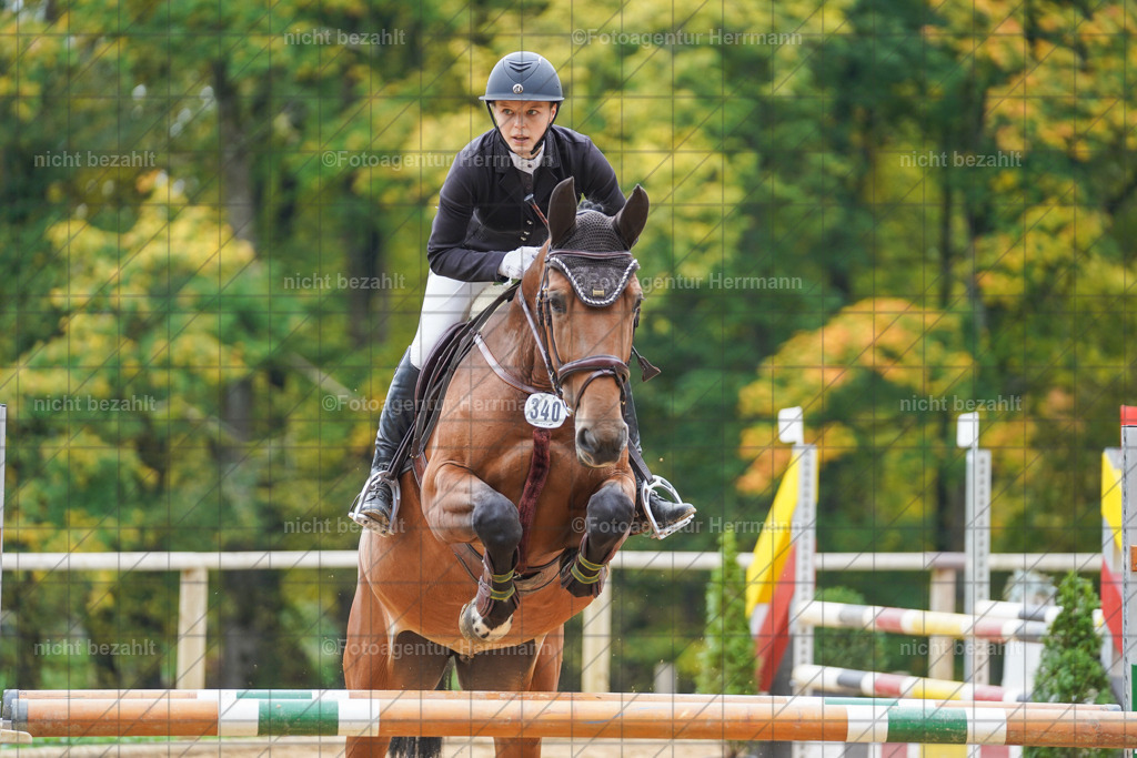 20221009-FAH08815 | Diessen am Ammersee, 2022, Dressur- und Springturnier, Reitsportbilder, Turnierfotografen Bayern, Pferdefotografen, Fotoagentur Herrmann, Turnierbilder