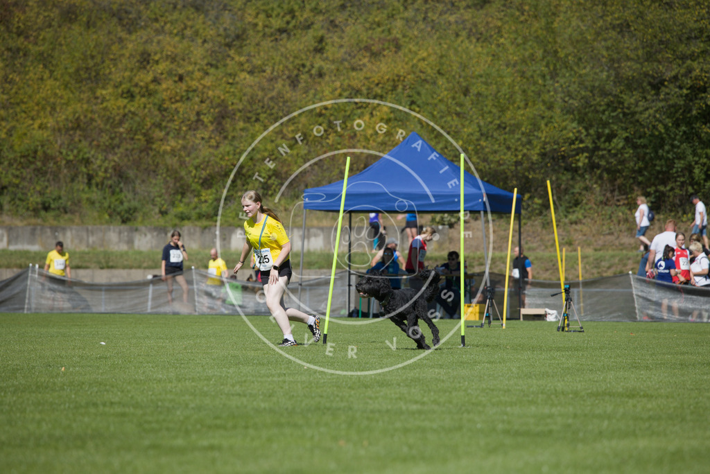 0L8A6010 | Hundefotografie, Tierfotograf, Pfotenfotografie, Fotoshooting Hund, Hunde Portrait, Hundesport, Hundeportraits, Heideshooting, Hunde, Sportfotograf, Hundefotograf, Turnierhundsport, THS,  - Realisiert mit Pictrs.com