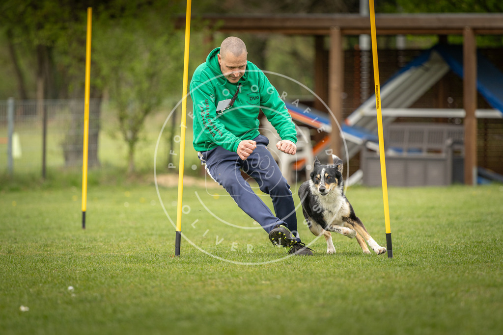 Pfotenfotografie_DV3A2139 | Hundefotografie, Tierfotograf, Pfotenfotografie, Fotoshooting Hund, Hunde Portrait, Hundesport, Hundeportraits, Heideshooting, Hunde, Sportfotograf, Hundefotograf, Turnierhundsport, THS,  - Realisiert mit Pictrs.com