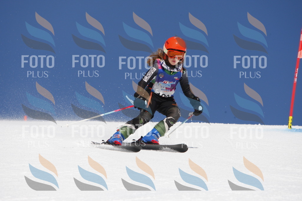 _W1G1858 | holidayphoto