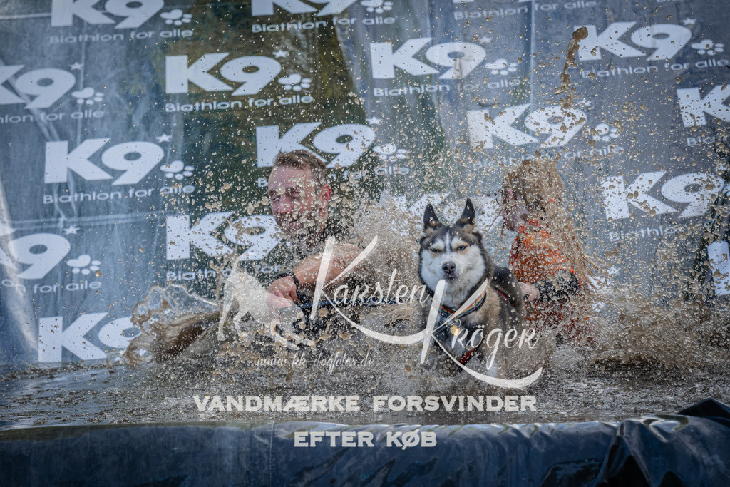 1415_ZZ92665 | kk-dogfotos