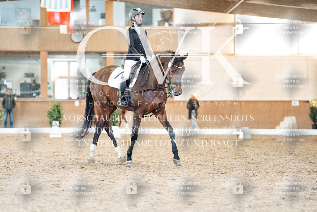 CK908040 | Turnierfotografie Pferdefotografie Trier Rheinland-Pfalz Pferdesport Reitsport Tierfotografie Sportfotografie Pferdevideo Pferdevideografie Equestrianvideography equestrianphotography  - Realisiert mit Pictrs.com