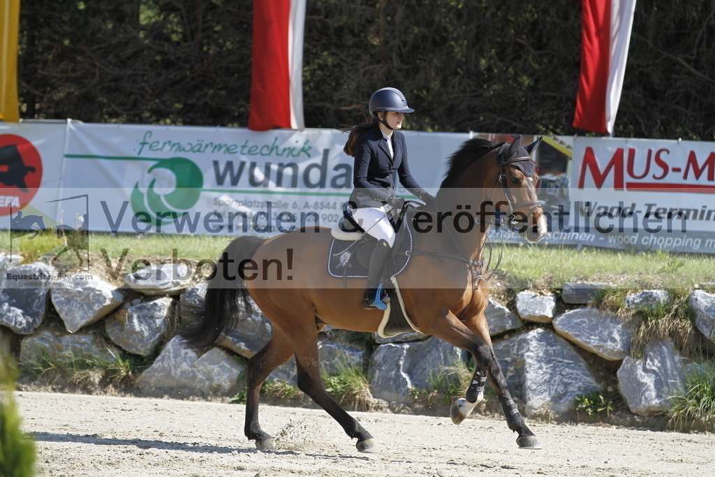 _MG_6778 | equestrian-live-com