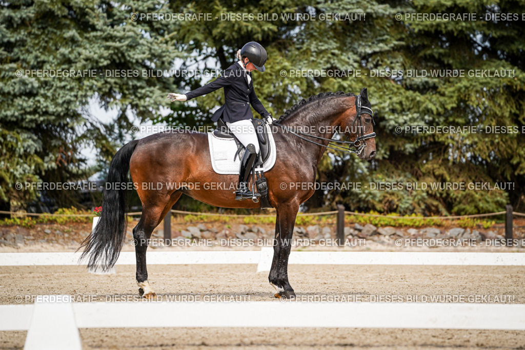 DSC06123 | Pferdegrafie