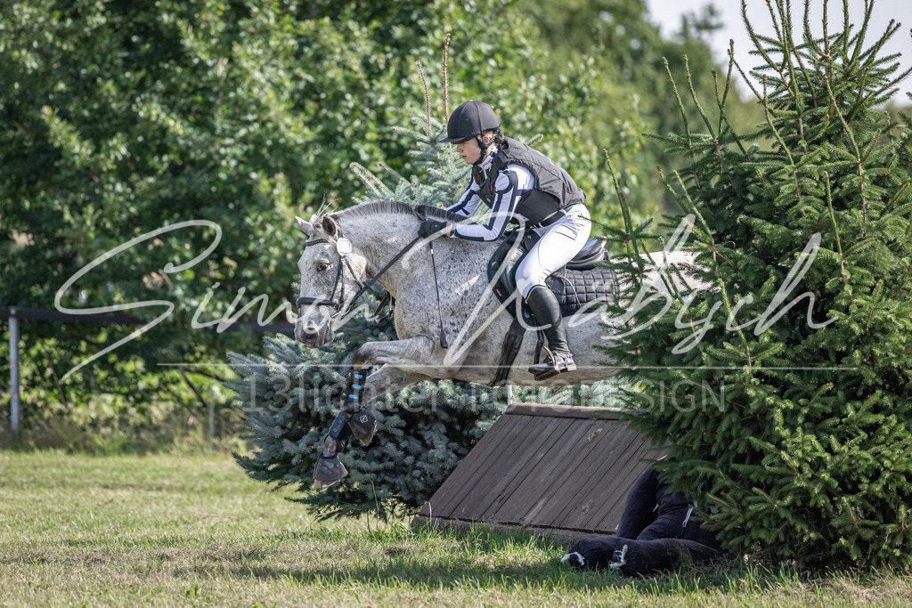 20250907-_3LI9983 | Tierfotografie Pferde, Hunde, Katzen, Haustiere.
Turnierfotografie Reitturniere, Reiten, Springreiten, Dressur in Hanau, dem Main-Kinzig-Kreis und dem Rhein-Main- Gebiet um Frankfurt