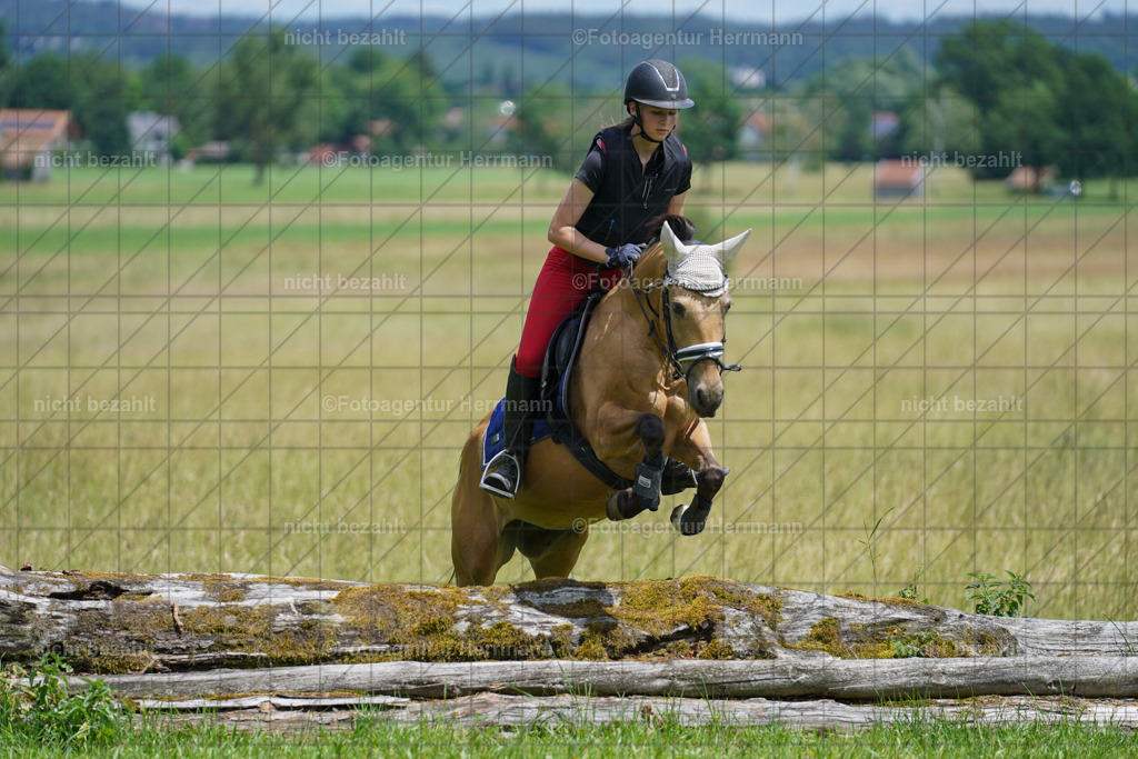 20240622-FAH07298 | Turnierfotografen Bayern, Reitsportbilder aus dem Geländekurs mit Felix Etzel auf dem Gut Waitzacker 2024