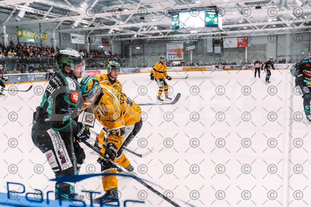 Alligators_vs_Toelz_18_11_2025-61 | Höchstadt Alligators Fotogalerie: Eishockey-Action aus Franken. Professionelle Spielfotos, Portraits & Stadionbilder zum Download. Jetzt entdecken! - Realisiert mit Pictrs.com