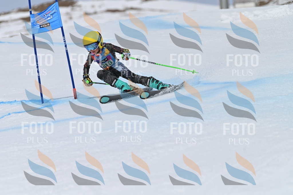 BGV_4136 | holidayphoto