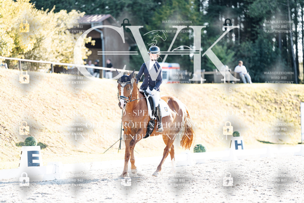 CK906909 | Turnierfotografie Pferdefotografie Trier Rheinland-Pfalz Pferdesport Reitsport Tierfotografie Sportfotografie Pferdevideo Pferdevideografie Equestrianvideography equestrianphotography  - Realisiert mit Pictrs.com