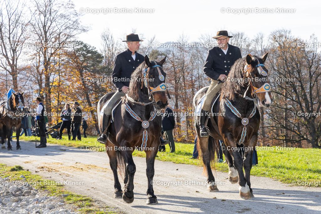 LBT24-1541 | foto-bettina-krinner - Realisiert mit Pictrs.com