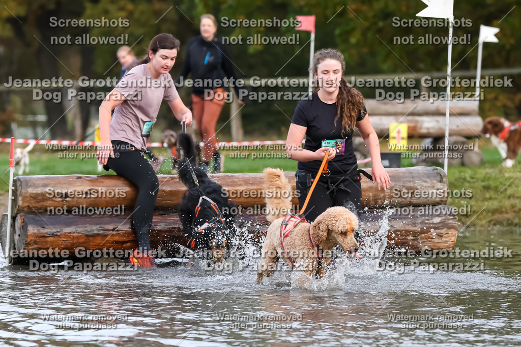 Dog Paparazzi - Strongdog 10-25-6471 | Dog Paparazzi Jeanette Grottendiek Fotografie & Videografie - Realisiert mit Pictrs.com
