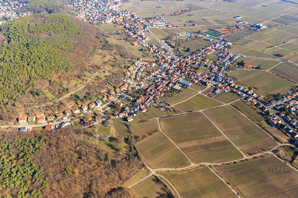 Luftbild: Winzerdorfansicht aus Süden im Winter ohne Schnee im Ortsteil Hambach an der Weinstraße in Neustadt im Bundesland Rheinland-Pfalz in Deutschland. Foto: IMG_112745.jpg vom 27.02.2019 durch Werner Riehm/FLY-FOTO.de