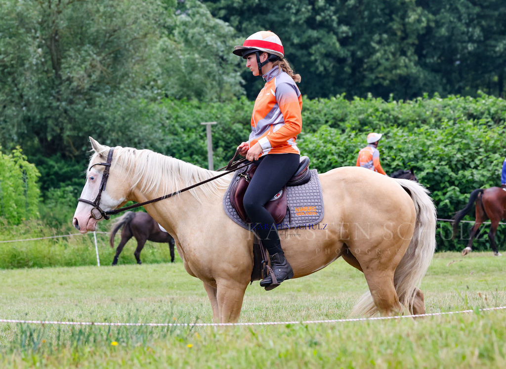 1B3A2725 | Reitsport Reiten