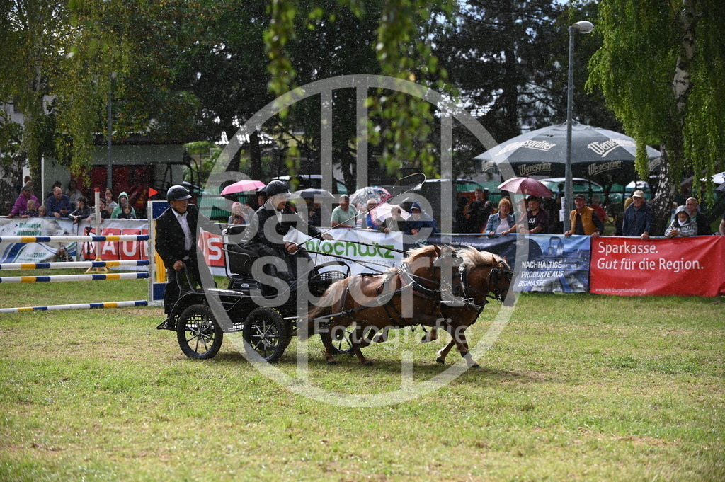 DSC_8842 | sattelsport - Realisiert mit Pictrs.com