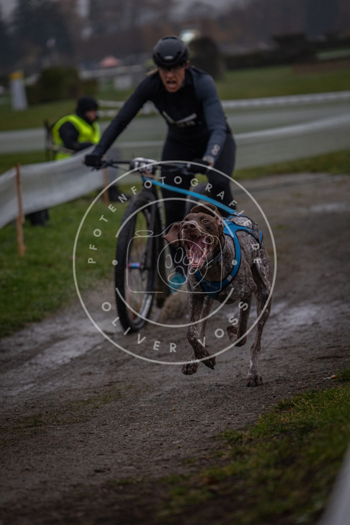 CaniXpix_0L8A0373 | Hundefotografie, Tierfotograf, Pfotenfotografie, Fotoshooting Hund, Hunde Portrait, Hundesport, Hundeportraits, Heideshooting, Hunde, Sportfotograf, Hundefotograf, Turnierhundsport, THS,  - Realisiert mit Pictrs.com