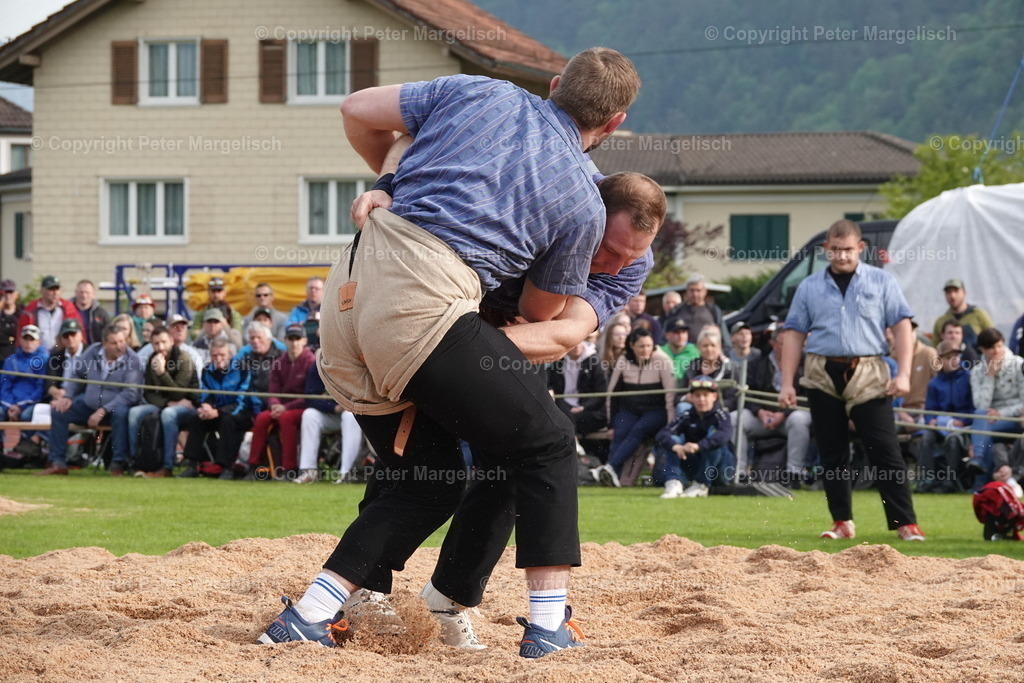 DSC04001 | Schwingen - Realisiert mit Pictrs.com