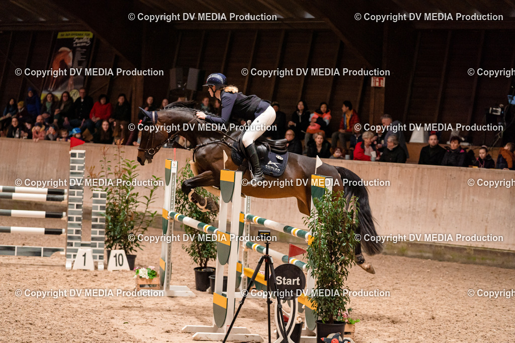 Springen Tag 2-619 | dv-media-shop - Realisiert mit Pictrs.com