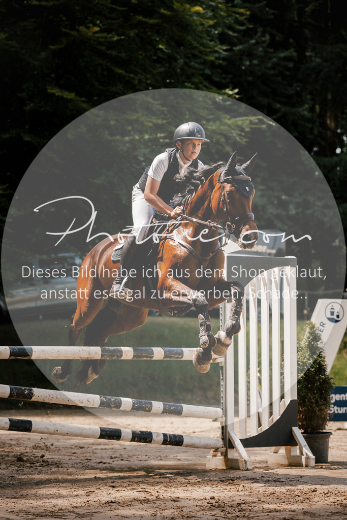 3I6A7993 | Stimmungsvolle Portraits und Reitsportfotografie im Ruhrgebiet und im Münsterland.

Pferdefotografie, Hundefotografie, Tierfotografie, Reportagen, Portraits von Tier und Mensch, Turnierfotografie in Bochum, Recklinghausen, Marl, Haltern am See, Dülmen.. - Realisiert mit Pictrs.com