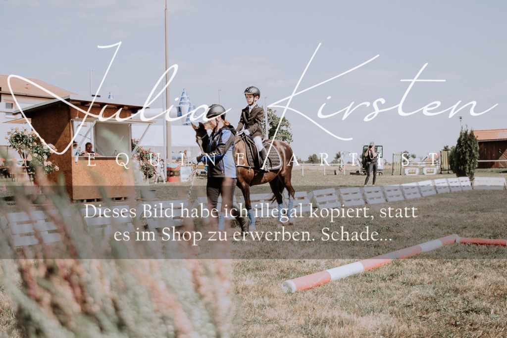 DSC_4553 | Pferde- und Turnierfotografie in Westsachsen. Pferdeportraits, Auftragszeichnungen und intuitive Kunst.