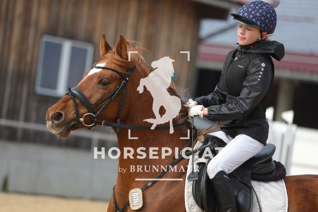 0P6A9238 | Willkommen bei Brunnmayr - Design & Fotografie – Ihrem Spezialisten für Reitturniere und Pferdeveranstaltungen in Oberösterreich, Salzburg und Bayern! Seit über 17 Jahren sind wir leidenschaftlich dabei.